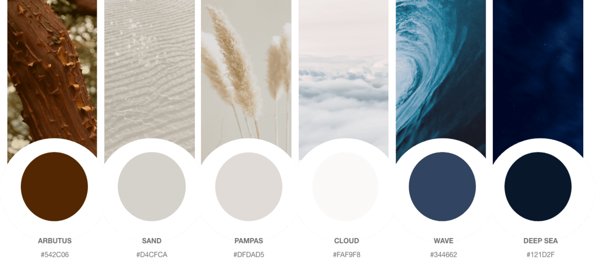 Color palette used for Tigh-Na-Mara Seaside Spa Resort website, from left to right - Arbutus #542C06, Sand #D4CFCA, Pampas #DFDAD5, Cloud #FAF9F8, Wave #344662, Deep Sea #121D2F