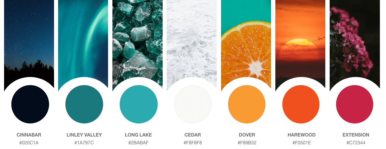Color palette used for Shop Local Nanaimo website, from left to right - Cinnabar #020C1A, Linley Valley #1A797C, Long Lake #2BABAF, Cedar #F8F8F8, Dover #F89B32, Harewood #F0501E, and Extension #C72344